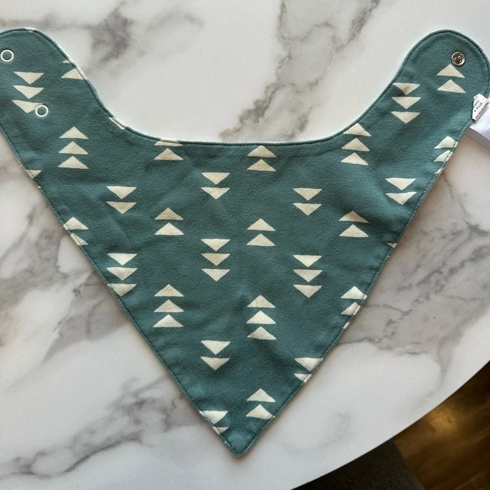 Tea reversible baby bib